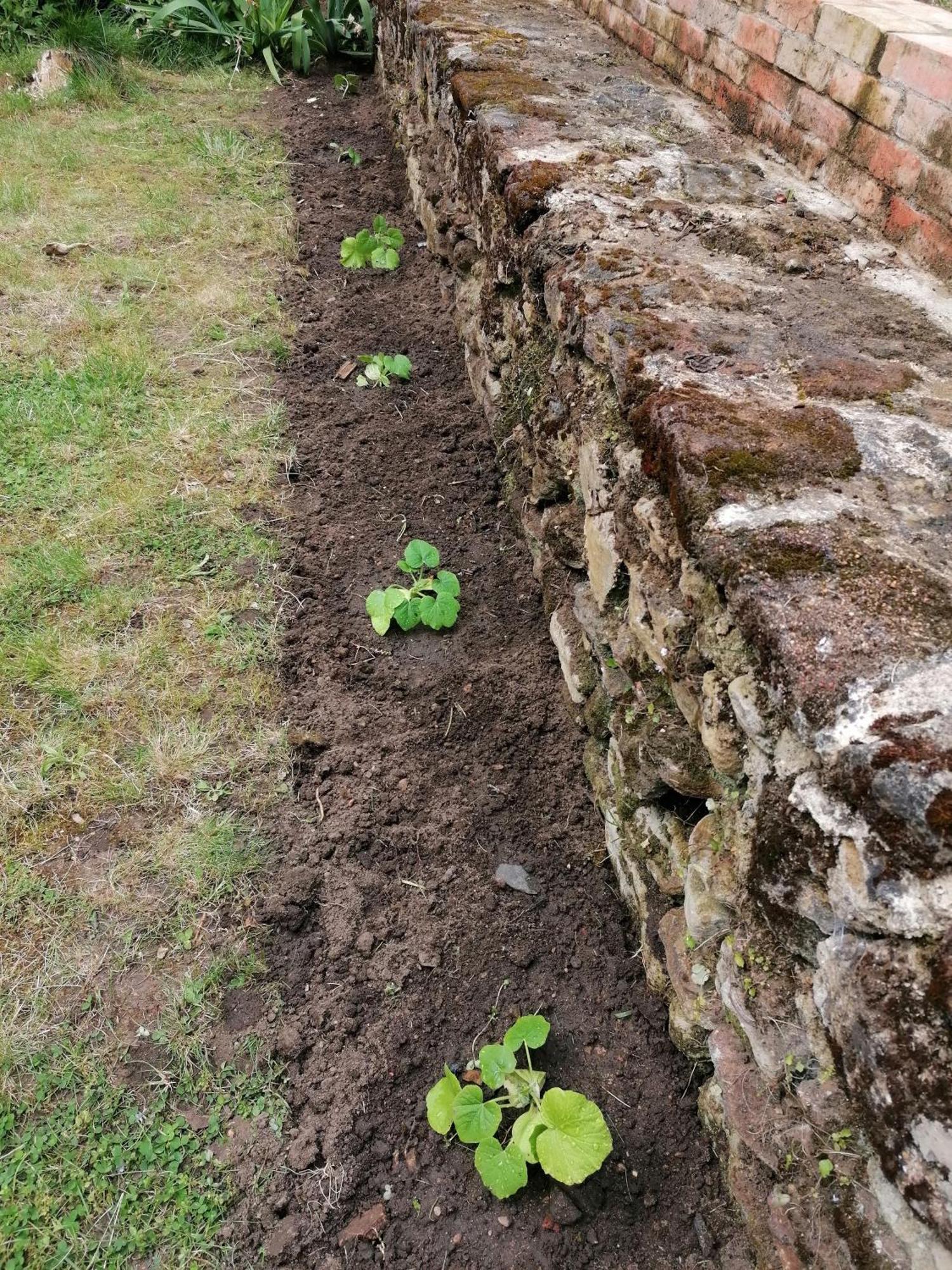 Les Jardins De Beauverger Le Mans Esterno foto